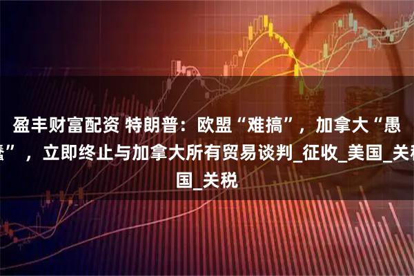 盈丰财富配资 特朗普：欧盟“难搞”，加拿大“愚蠢” ，立即终止与加拿大所有贸易谈判_征收_美国_关税