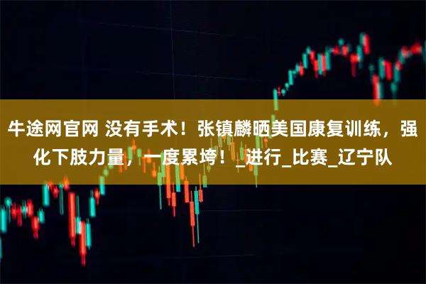 牛途网官网 没有手术！张镇麟晒美国康复训练，强化下肢力量，一度累垮！_进行_比赛_辽宁队